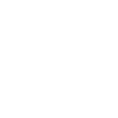 bormioli